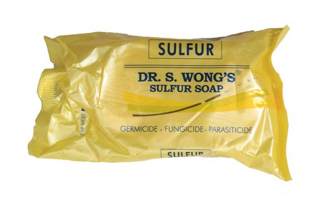 Dr. S. Wong Body Soap Sulfur 135 g