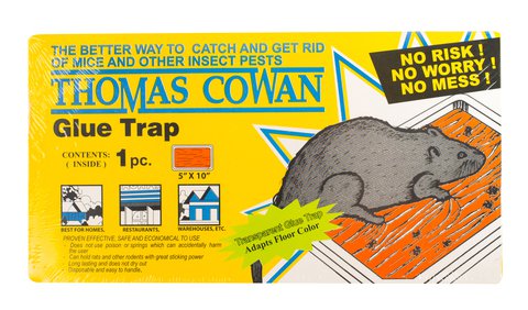 Thomas Cowan Glue Traps Yellow 1 pc