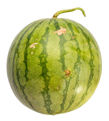 Sunny Phil Pakwan Seedless 4 kg