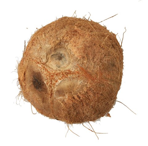 Sunny Phil Niyog Coconut 1 kg