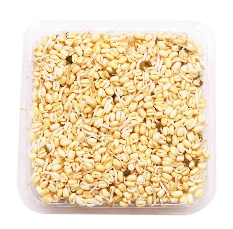 Global Fresh Togue Short 150 g