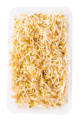 Global Fresh Togue Long 1 kg