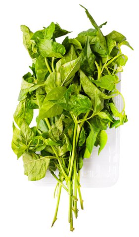 Global Fresh Sili Leaves 70 g