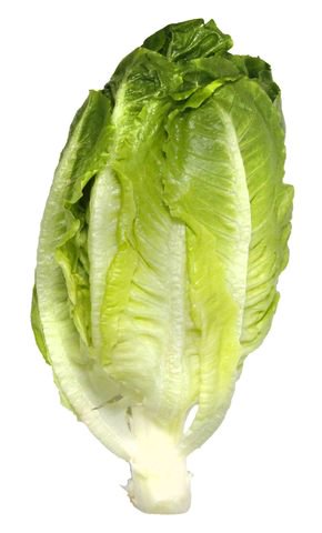Global Fresh Lettuce Romaine 160 g