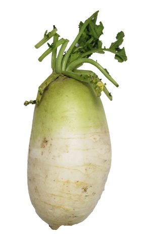 Global Fresh Radish Korean 500 g