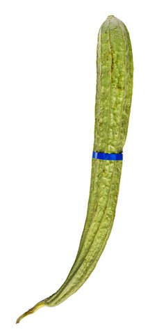 Global Fresh Patola 500 g