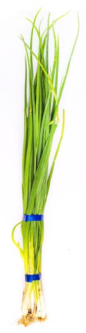 Global Fresh Onion Spring 50 g