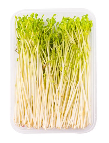 Global Fresh Tomyao 1 pack