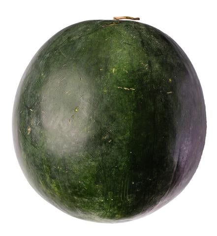 Sunny Phil Watermelon Sugarbaby 3.8 kg