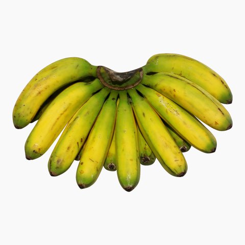 Sunny Phil Banana Lacatan 1.6 kg