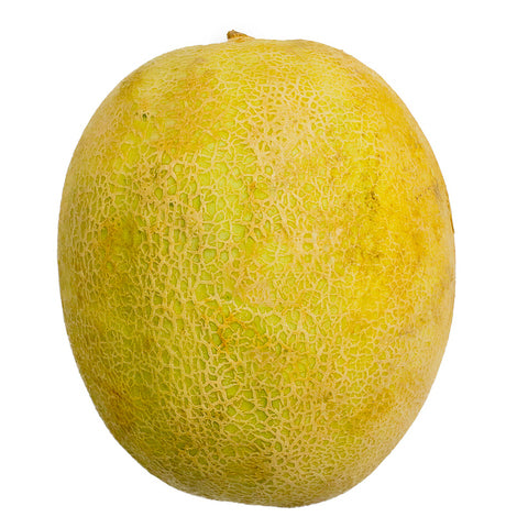 Sunny Phil Melon Taiwan 1.1 kg
