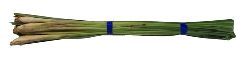 Global Fresh Lemon Grass 100 g