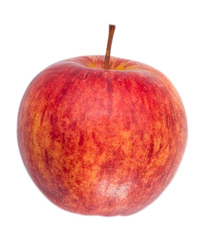 Sp Gala Apple 163 1 pc