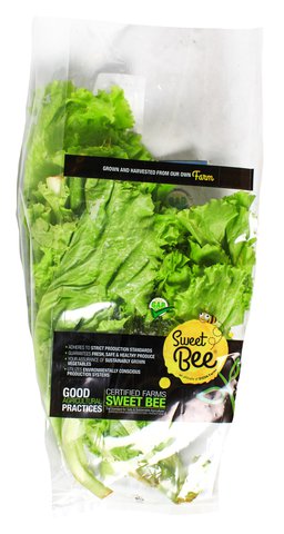 Global Fresh Lettuce Green Ice 150 g
