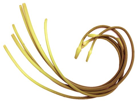 Global Fresh Fresh Garlic 100 g