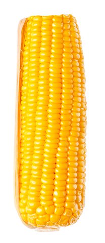 Sunny Phil Japanese Corn 1 pc