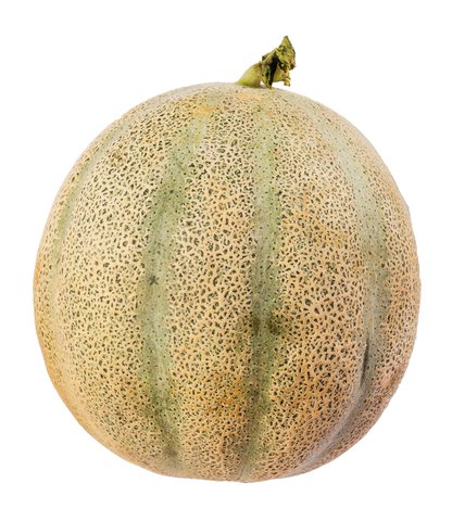 Sunny Phil Melon Native 1.2 kg