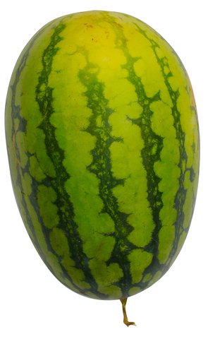 Sunny Phil Pakwan Yellow 4 kg