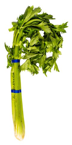 Global Fresh Celery 220 g
