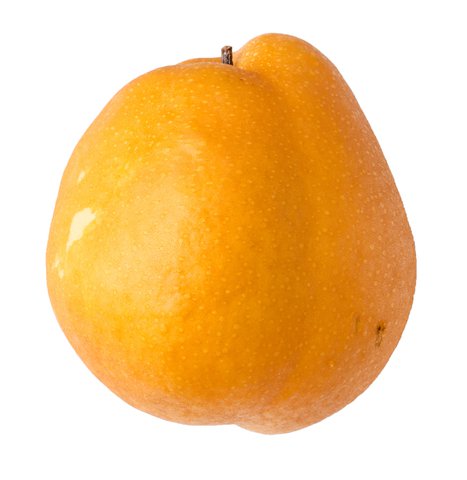 Sunny Phil Korean Pears 580 g