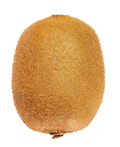 Sunny Phil Kiwi 1 pc