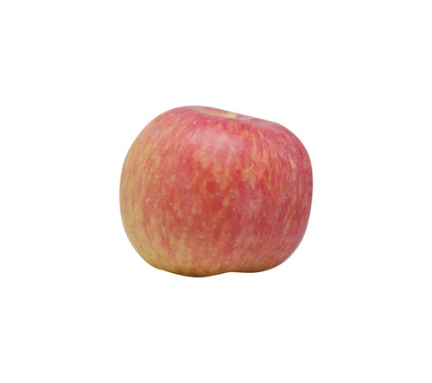 Sunny Phil Fuji Apple 32 1 pc