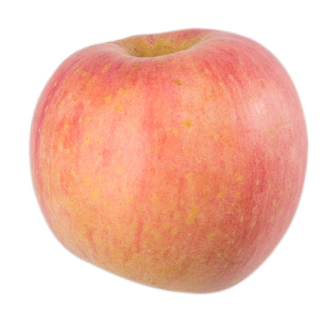 Sunny Phil Fuji Apple 113 1 pc
