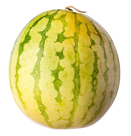 Sunny Phil Watermelon Champion 4 kg