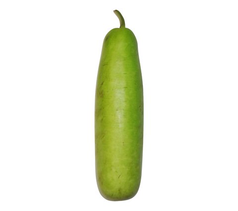 Global Fresh Upo Taiwan 1.9 kg