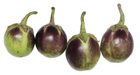 Global Fresh Eggplant Round 260 g