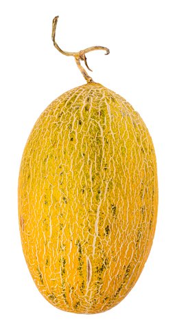 Sunny Phil Hami Melon 1.7 kg