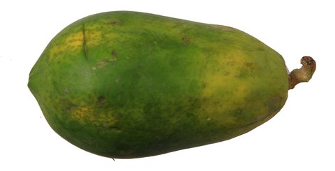 Sunny Phil Papaya Red Lady 2.4 kg