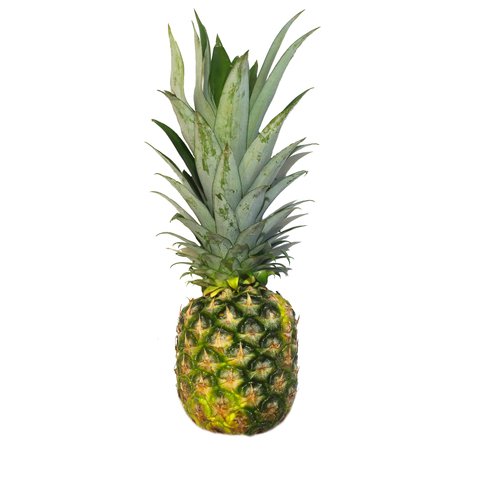 Sunny Phil Pineapple Honeygold 1 pc