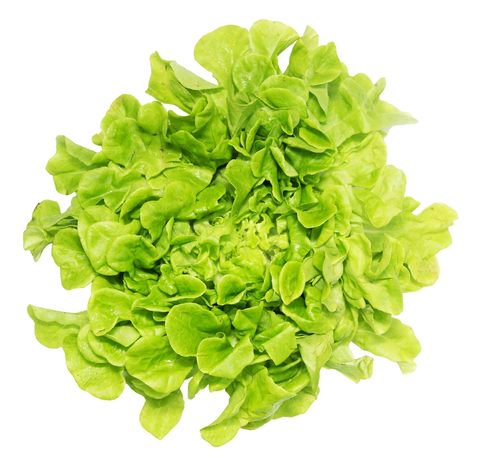 Global Fresh Lettuce Mix 100 g