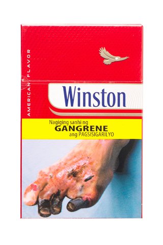Winston Cigarette Filter King FTB 20 pcs /pack