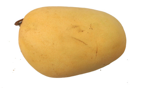 Sunny Phil Mango Zambales Large 1 kg