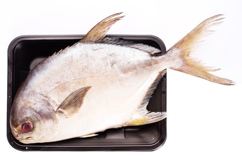 Fishta Seafood Pampano White 500 g