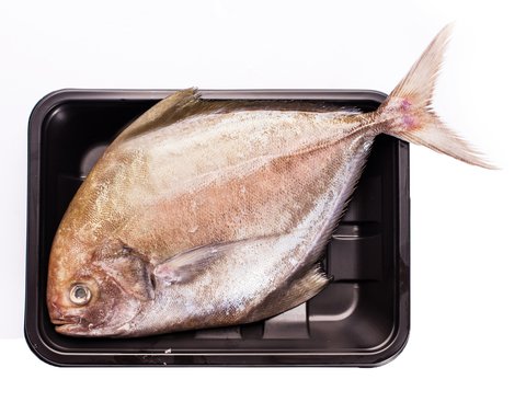 Fishta Seafood Pampano Black 530 g