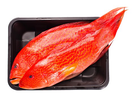 Fishta Seafood Lapu Lapu Red 720 g