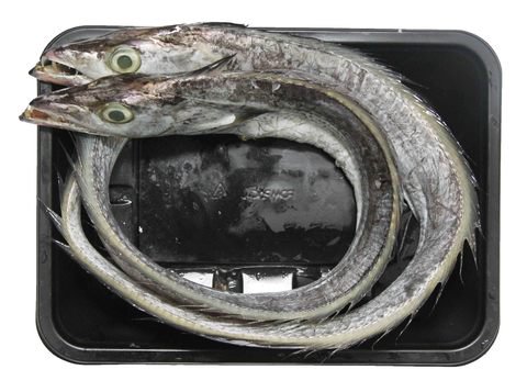Fishta Seafood Espada Fish 250 g