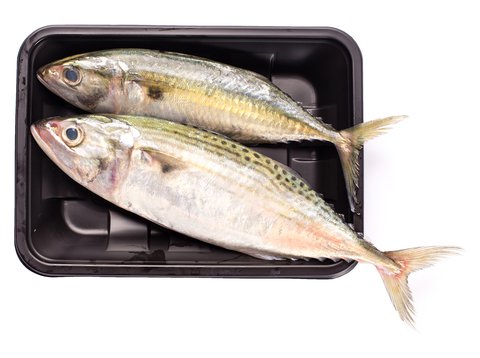 Fishta Seafood Alumahan 500 g