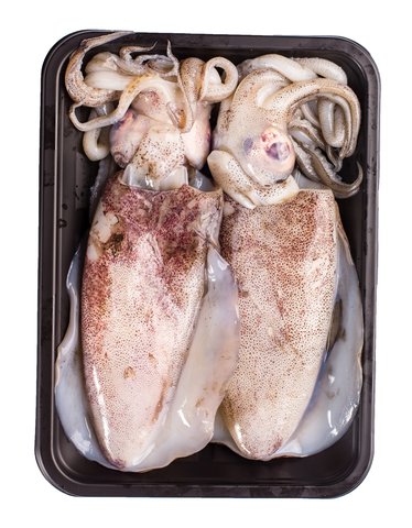 Fishta Seafood Pusit Lumot 540 g