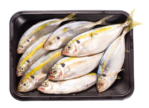Fishta Seafood Salay Ginto 400 g