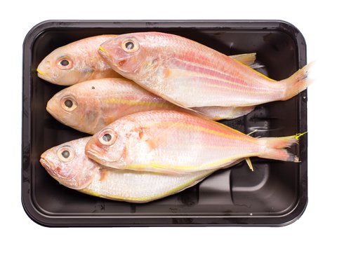 Fishta Seafood Bisugo Fish Big 410 g