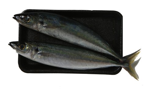 Fishta Seafood Galunggong Mackerel Fish 500 g