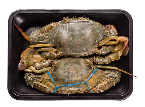 Fishta Seafood Alimasag 600 g