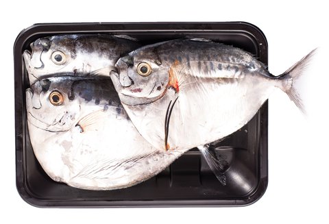 Fishta Seafood Chaveta 500 g