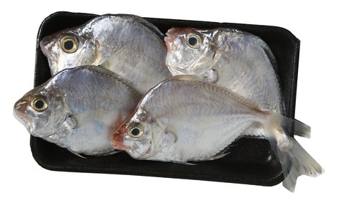 Fishta Seafood Sap Sap Big 450 g