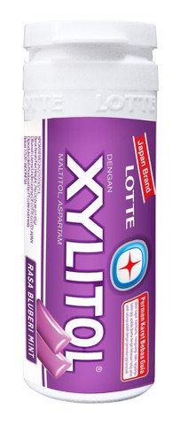 Lotte Xylitol Blueberry 30 g