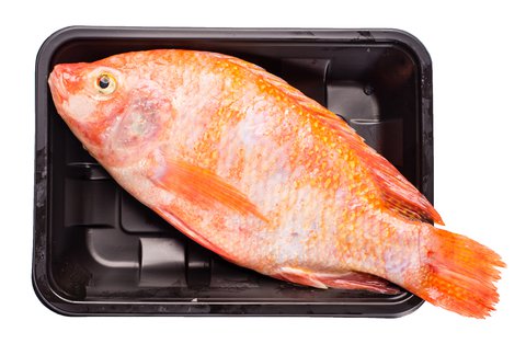 Fishta Seafood King Fish 470 g